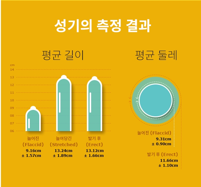 한국남자평균길이!나는 정상크기인가? : 네이버 블로그