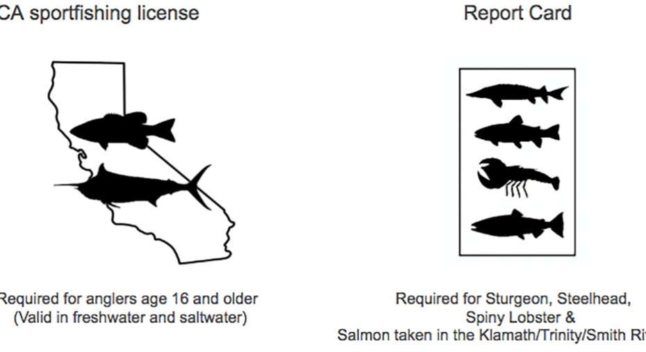 How Do I Get A San Diego Fishing License: A Complete Guide