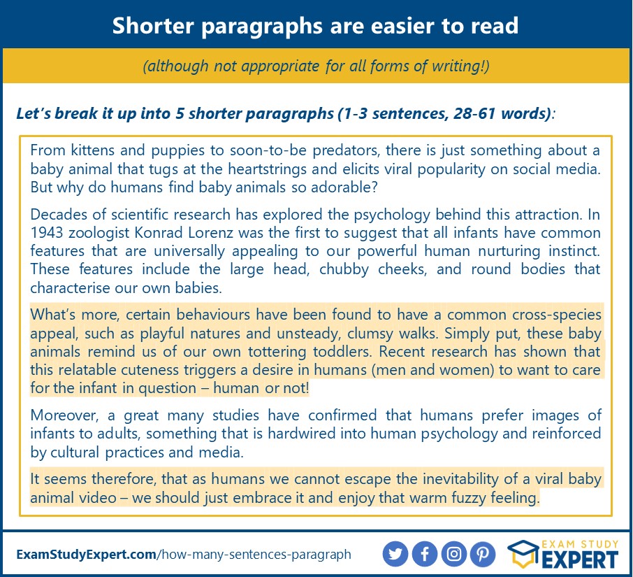 how many sentences does a 4 paragraph essay have