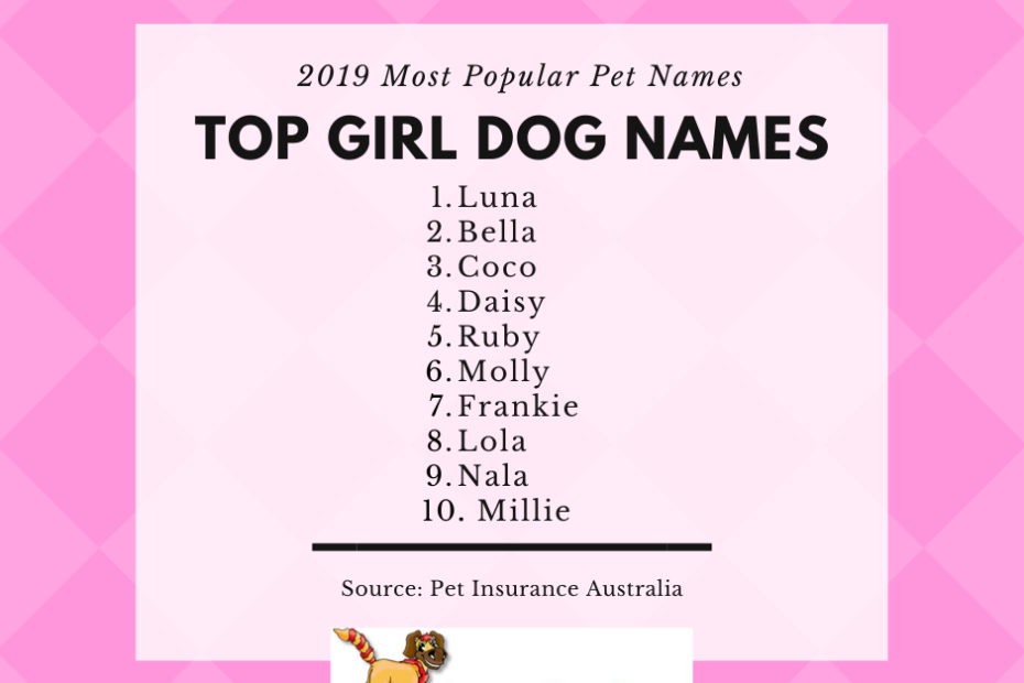 Most Popular Pet Names Of 2019 — Woofpurnay Veterinary Hospital |  Professional Compassionate Care | Emergency Vet