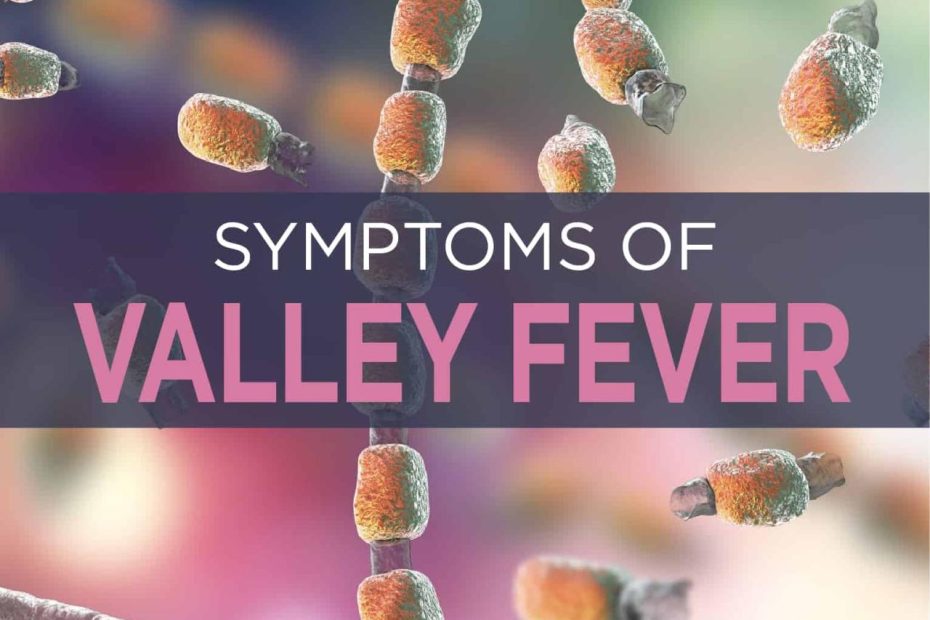 Valley Fever: Symptoms, Causes & Treatment |