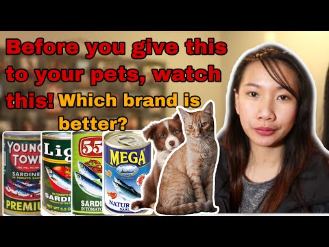 Fish Or Sardines For Dogs And Cats? || Safe Nga Ba? || Animal Lovers -  Youtube