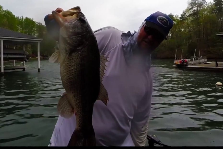 Catching Big Springtime Bass On Smith Mountain Lake - Youtube