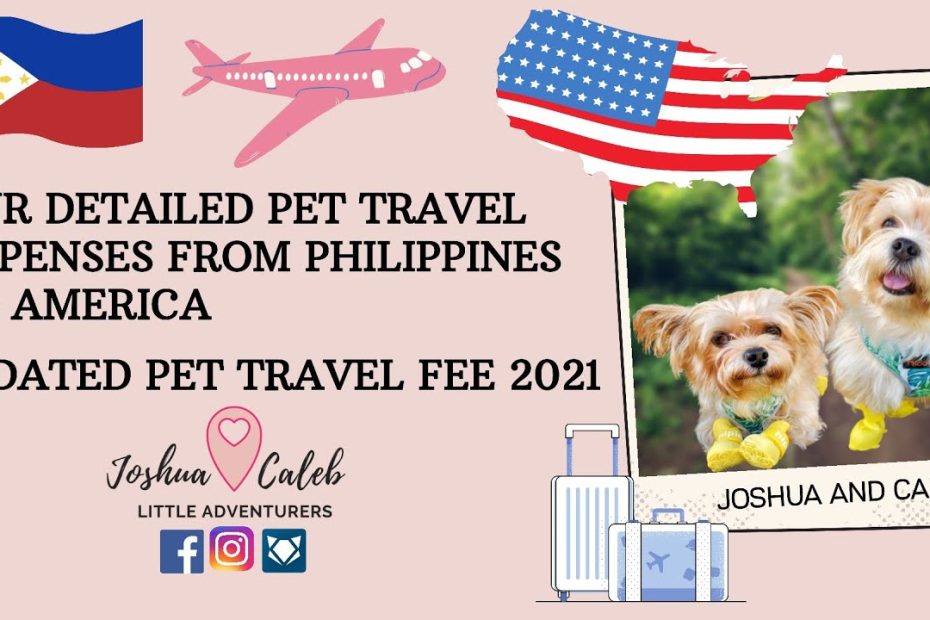 pet travel requirements philippines