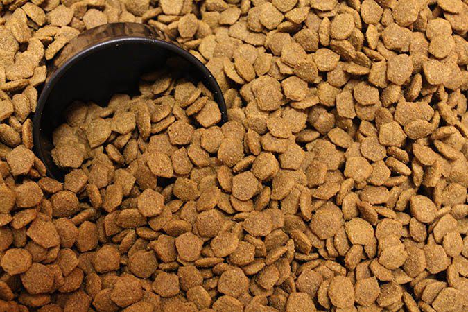 Toxins That Can Arise In Dry Dog Food - Whole Dog Journal