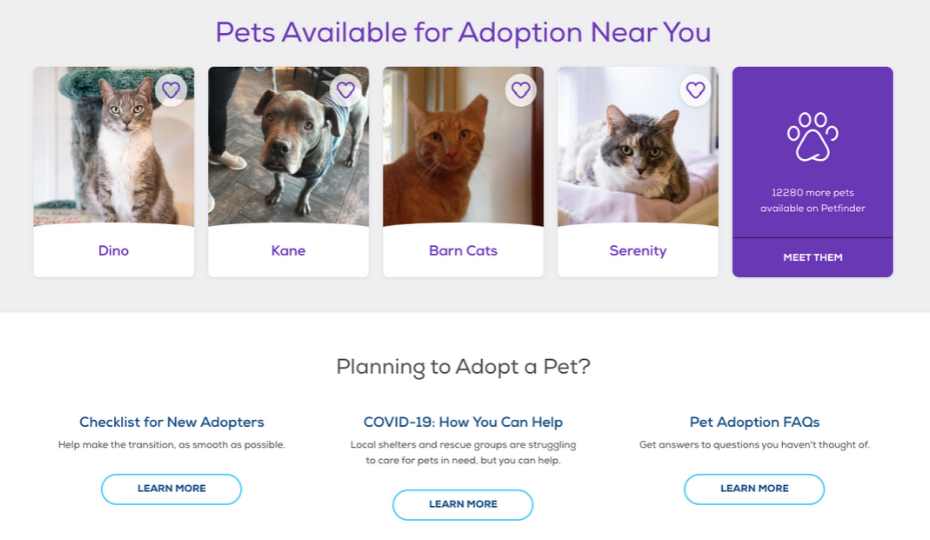 Petfinder: Everything You Need To Know | Pawlicy Advisor