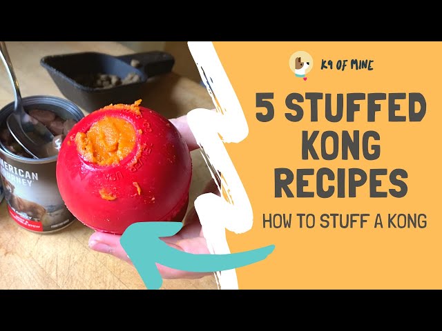 5 Stuffed Kong Recipes: How To Stuff A Kong Dog Toy! - Youtube